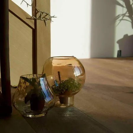 Vue Exceptionnelle Sur Le Cap Gris-nez